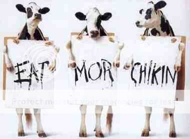 eat-more-chikin.jpg