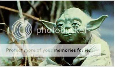 yoda.jpg