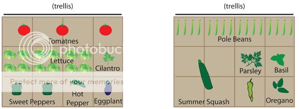 Go Back > Pix For > 4x8 Vegetable Garden Layout