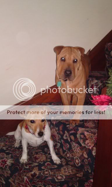 Me with Bailey and my parents y...