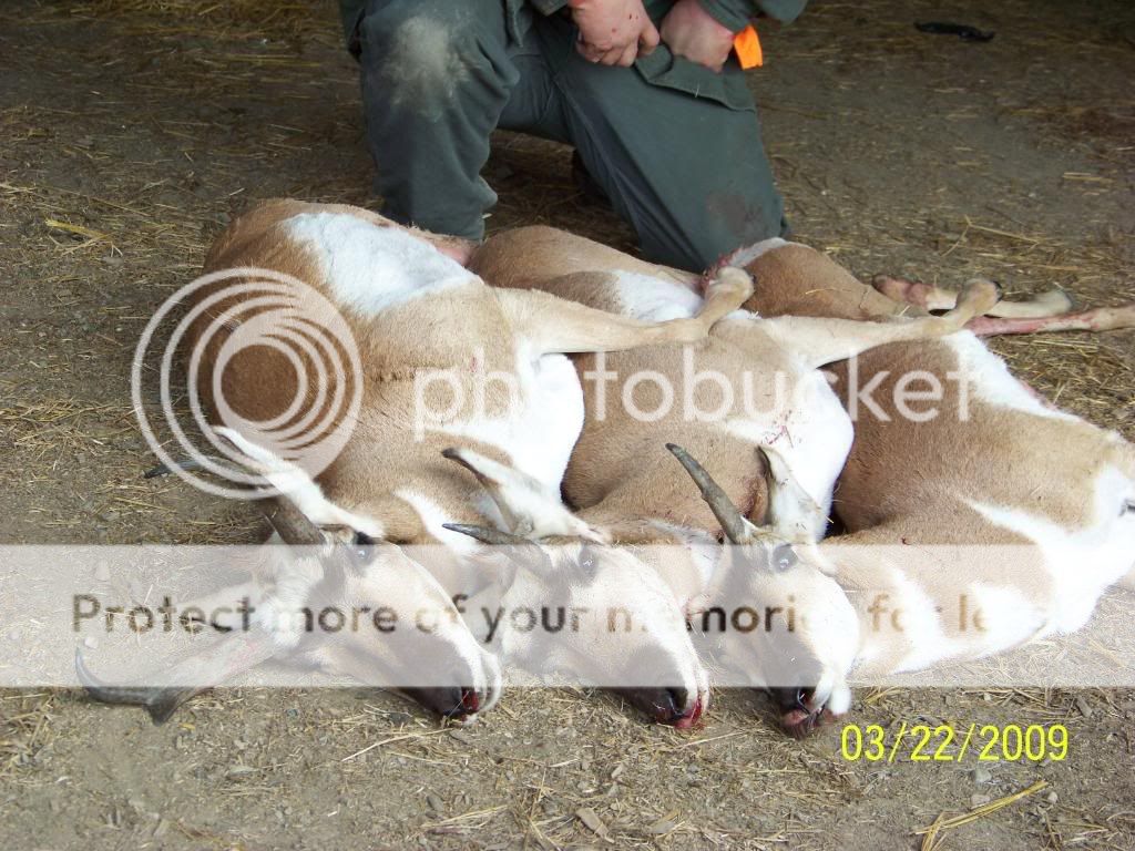 100_3261.jpg
